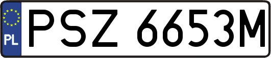 PSZ6653M