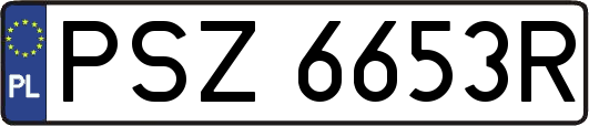 PSZ6653R
