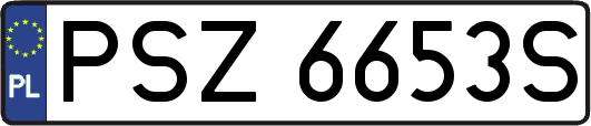 PSZ6653S