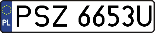 PSZ6653U