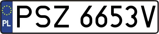 PSZ6653V