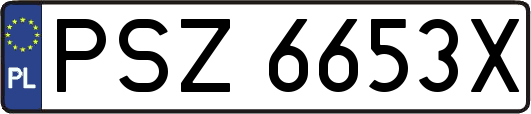 PSZ6653X