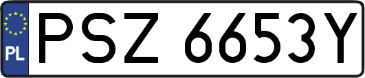 PSZ6653Y