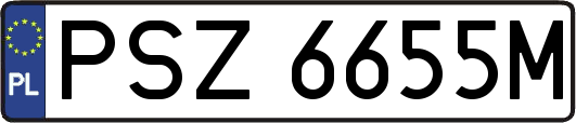PSZ6655M