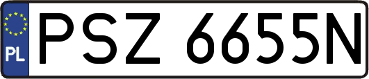 PSZ6655N
