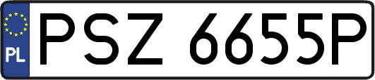 PSZ6655P