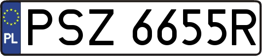 PSZ6655R