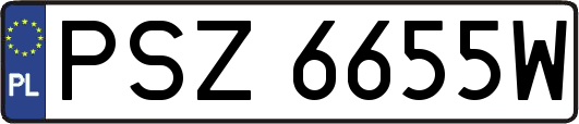 PSZ6655W
