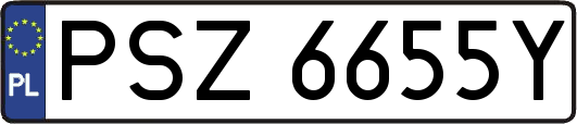 PSZ6655Y