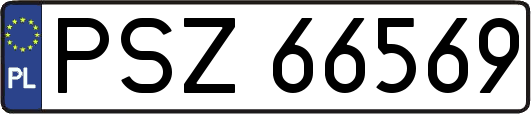 PSZ66569