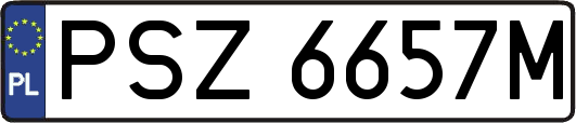 PSZ6657M