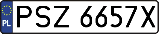 PSZ6657X
