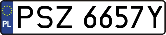 PSZ6657Y