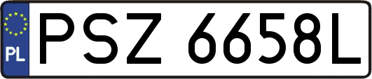 PSZ6658L