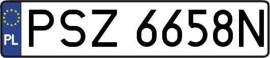 PSZ6658N