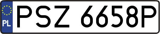 PSZ6658P