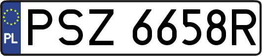 PSZ6658R