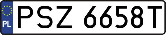 PSZ6658T