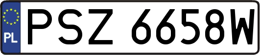 PSZ6658W