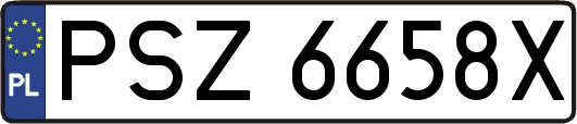 PSZ6658X