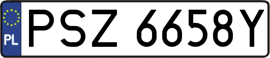 PSZ6658Y