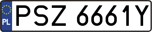 PSZ6661Y