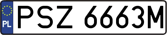 PSZ6663M