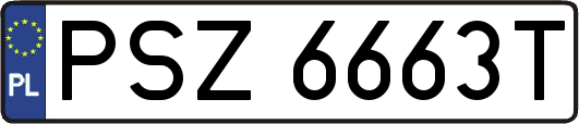 PSZ6663T