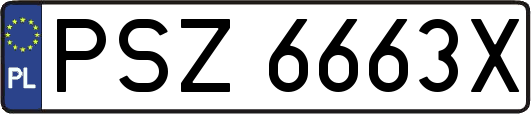 PSZ6663X