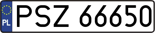PSZ66650