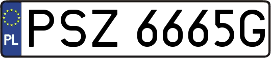 PSZ6665G