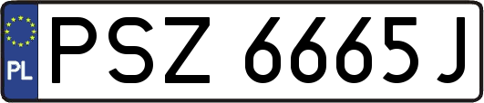 PSZ6665J