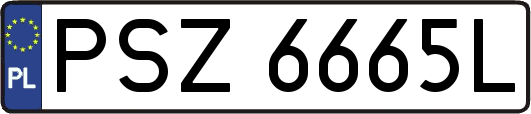 PSZ6665L