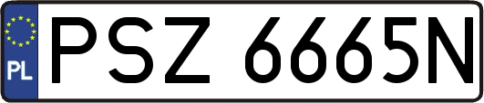 PSZ6665N