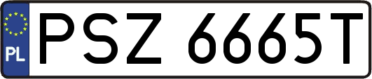 PSZ6665T