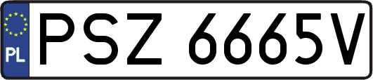 PSZ6665V