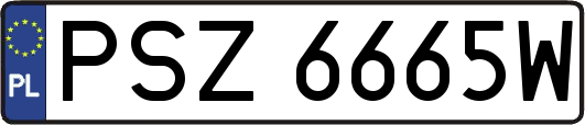 PSZ6665W