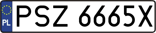 PSZ6665X