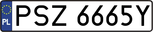 PSZ6665Y