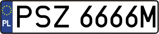PSZ6666M