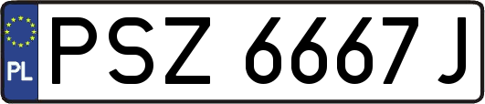 PSZ6667J