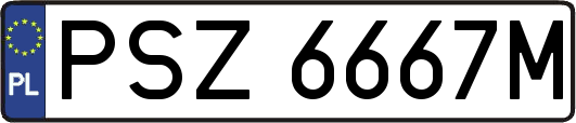 PSZ6667M