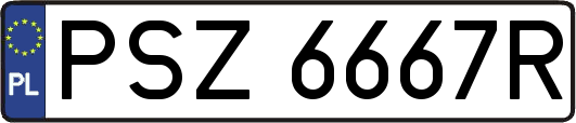 PSZ6667R