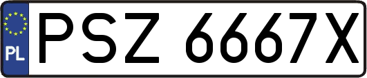 PSZ6667X