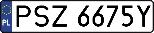 PSZ6675Y