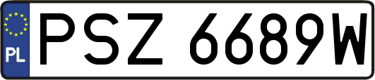 PSZ6689W