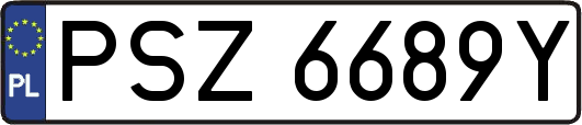 PSZ6689Y