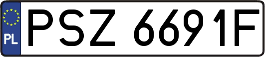 PSZ6691F