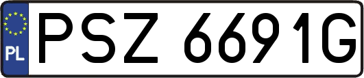 PSZ6691G