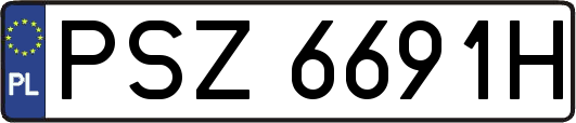 PSZ6691H
